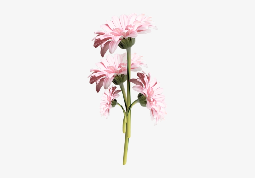 Tube Fleurs Roses - Flower, transparent png #939153