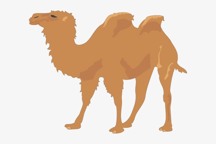 Cartoon Camel Clipart - Camel Vector Free, transparent png #939256