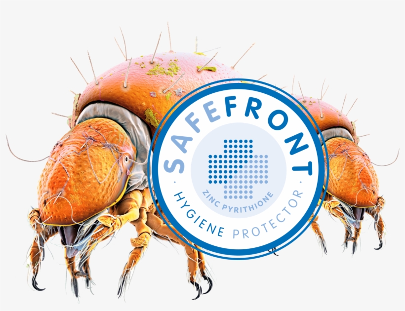 Acaro National Geographic, transparent png #939279