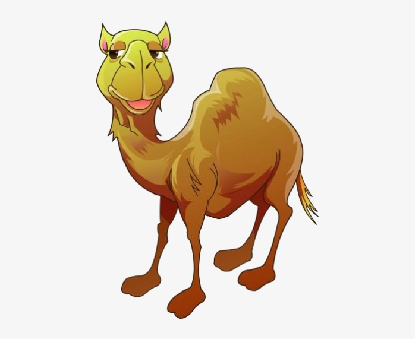 Visit - Camel Clipart, transparent png #939350