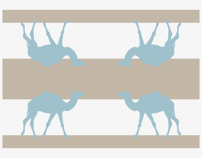 Dromedary, transparent png #939483
