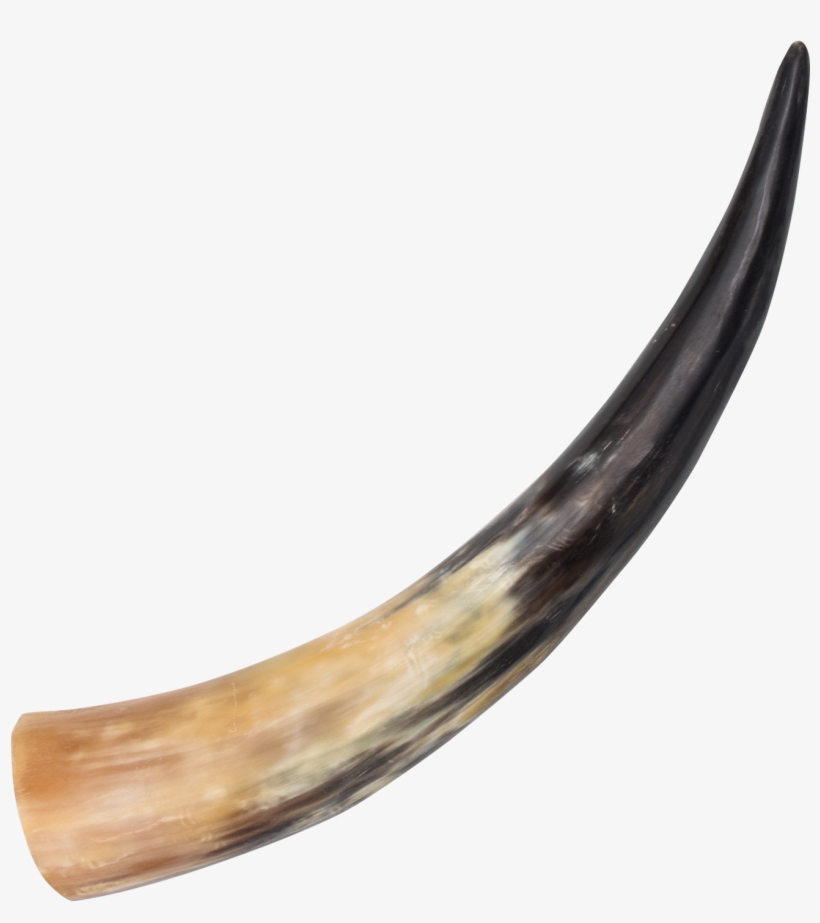 Medieval Animal Drinking Horn , , Panther Trading Company- - Animal Horn Png, transparent png #939484