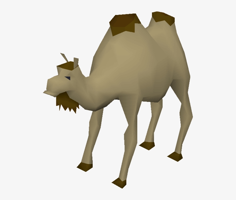Al The Camel, transparent png #939552