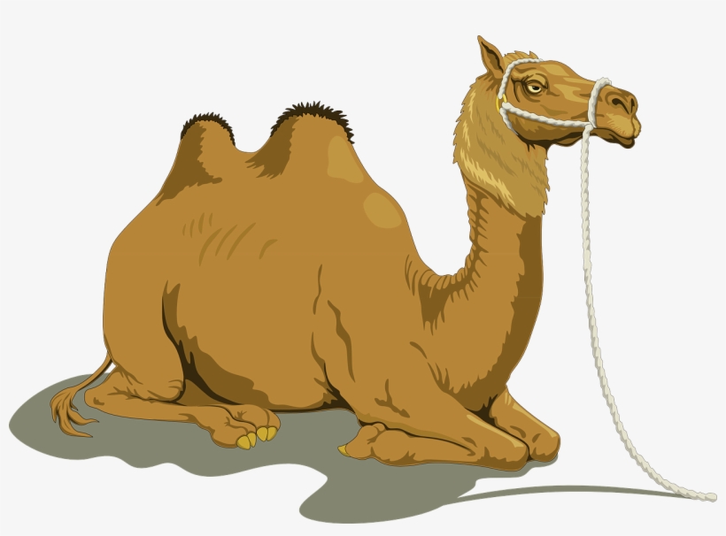 Download Png Image Report - Camel Clipart, transparent png #939680