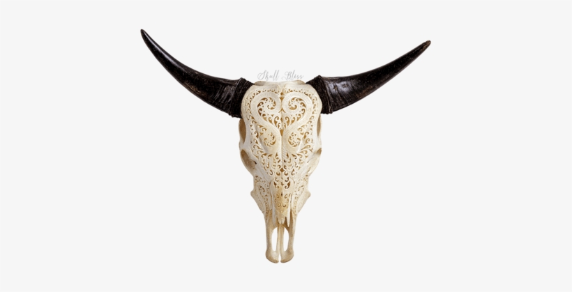 Cow Skulls Xl Horns - Horned Antelope Skull Transparent, transparent png #939720
