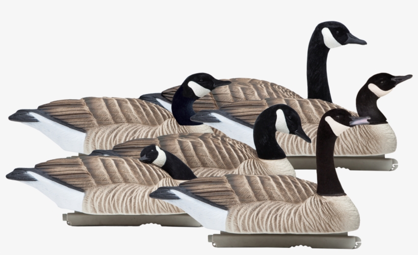Floating Honkers - Final Approach Floating Goose Decoy Reviews, transparent png #9300729
