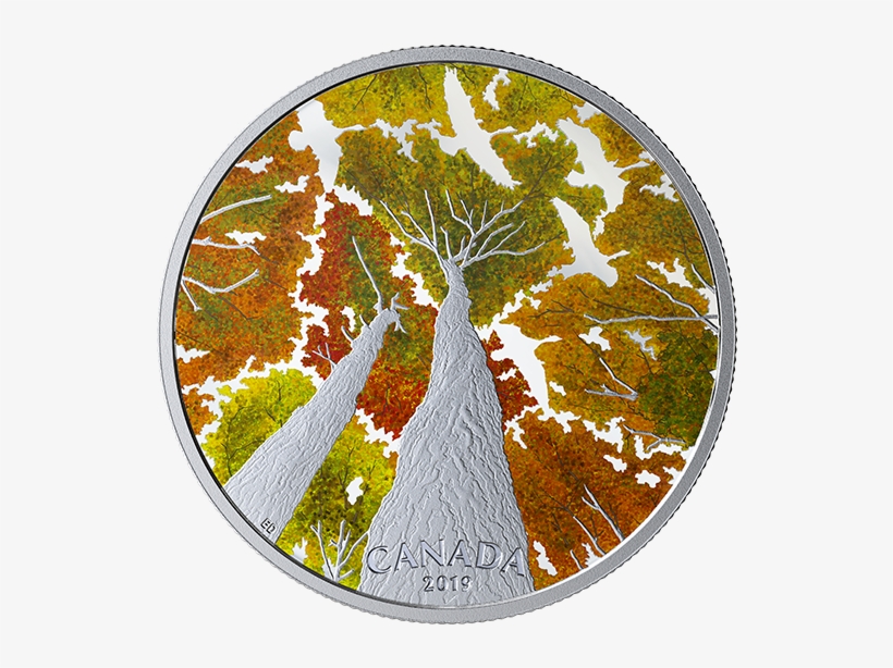 X169981 Rev-570 - Silver, transparent png #9300837