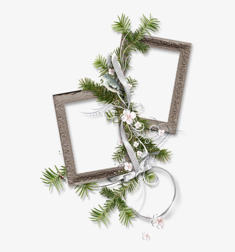 Scrap, Digital, Png Photo, Christmas, Borders And Frames, - Picture Frame, transparent png #9301707