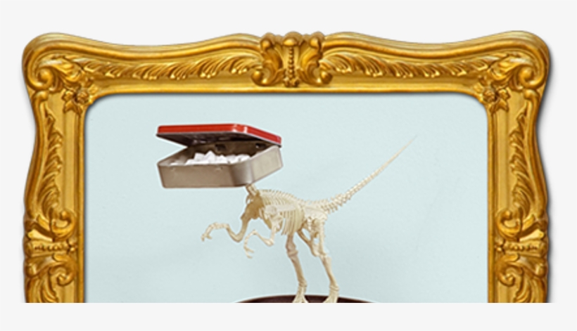 Giraffidae, transparent png #9302013
