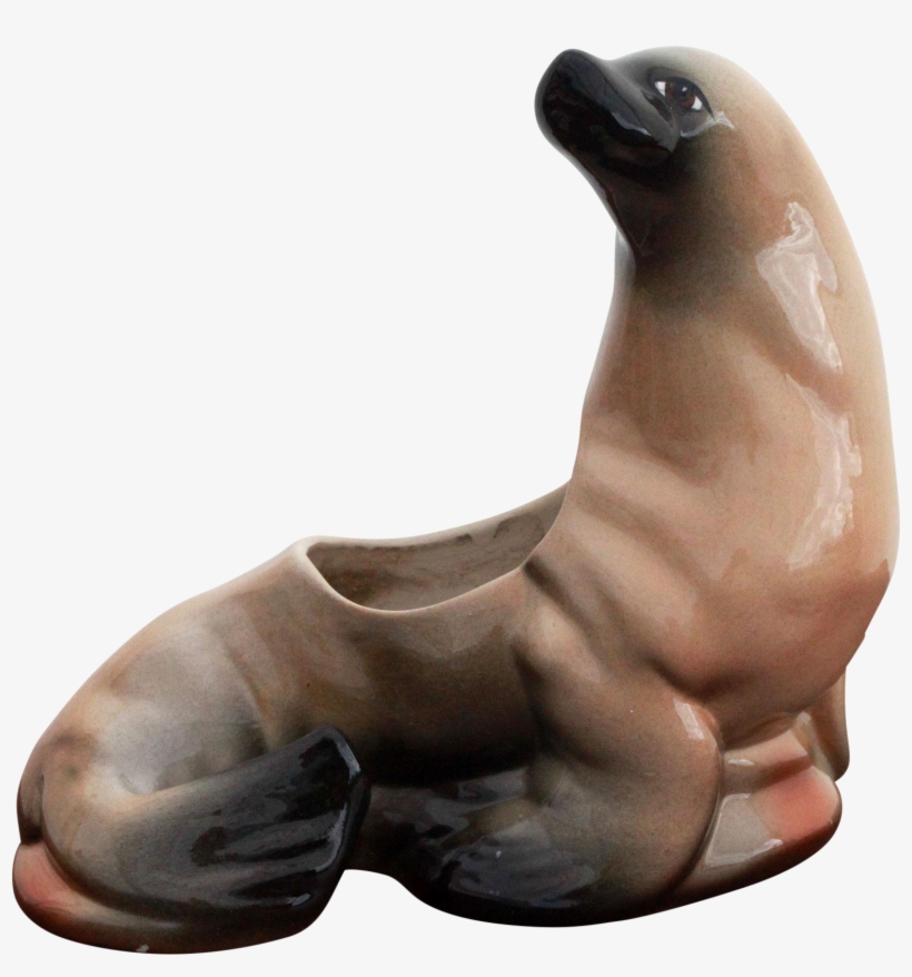 M#century American Art Pottery Seal Indoor Planter - California Sea Lion, transparent png #9302051