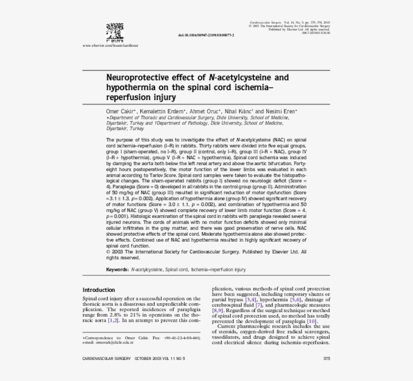 Neuroprotective Effect Of N-acetylcysteine And Hypothermia - Document, transparent png #9303292