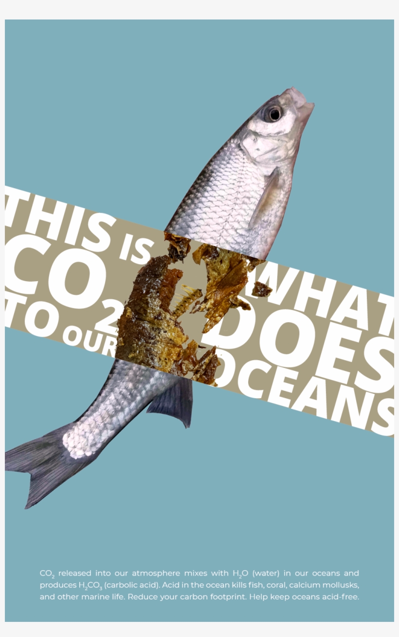 Long Nose Gar, transparent png #9306117