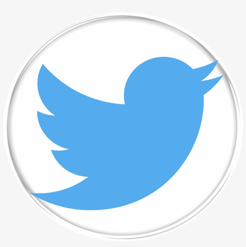 021 830 - Grey Twitter Logo Png, transparent png #9307226