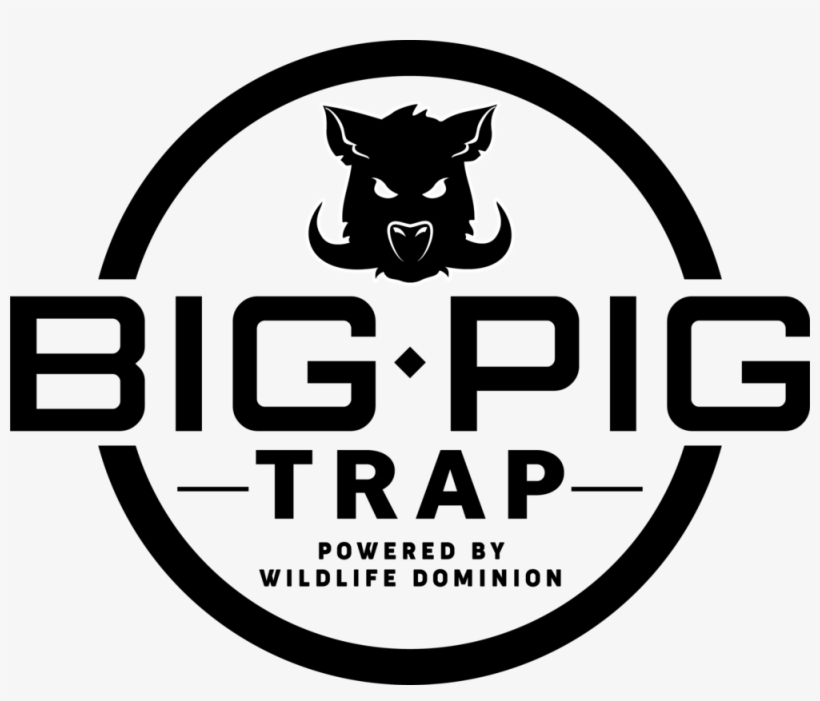 Pigs Png, transparent png #9307821