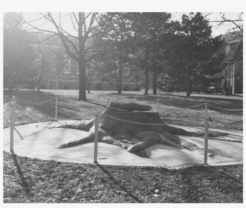 Historical Stump - Monochrome, transparent png #9308735