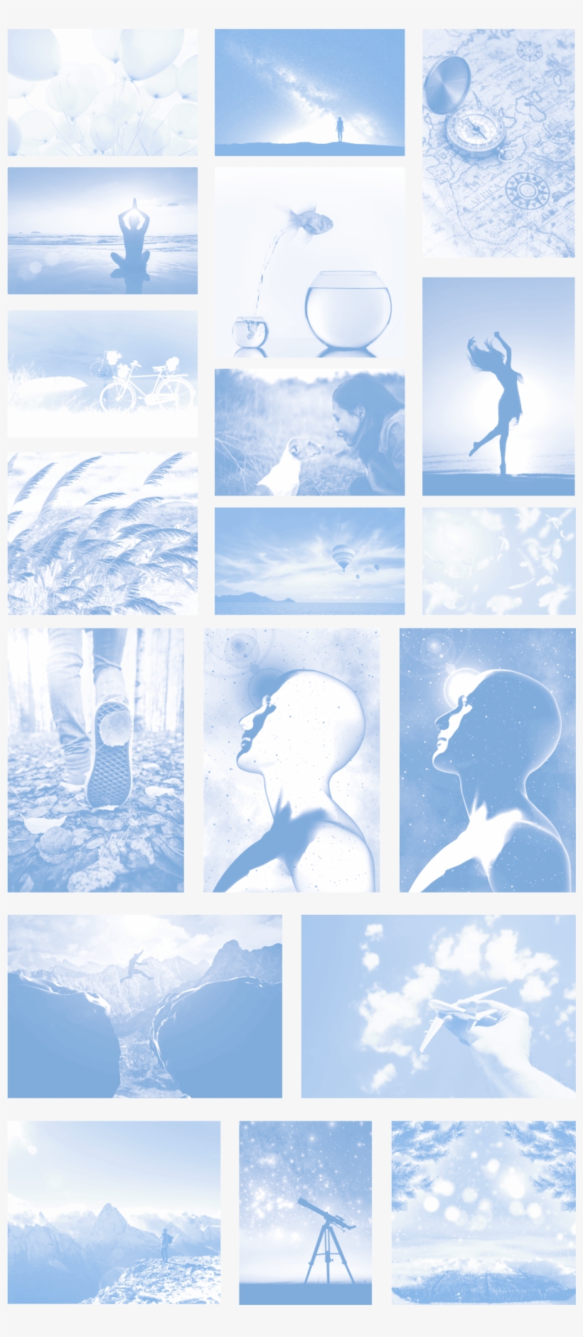 The Photographs Have Been Chosen And Retouched Looking - Illustration, transparent png #9310857