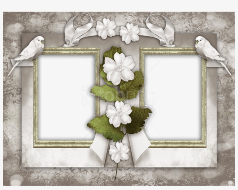 Free Png Best Stock Photos Nice Retroframe Background - Princess Maryam Al Maktoum Engaged, transparent png #9315155