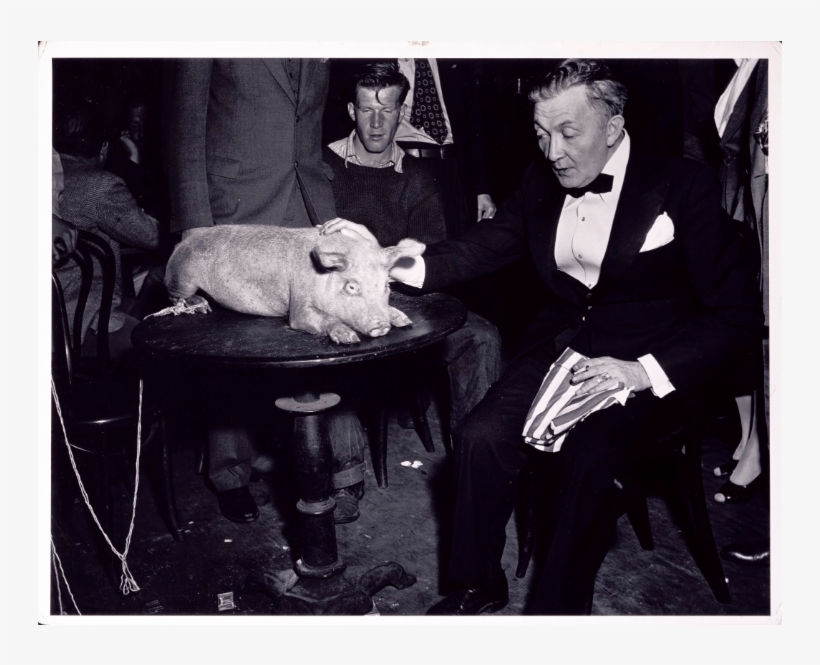 The Weegee Portfolio Incorporated Con El Fin De Crear - Weegee Photography, transparent png #9315539