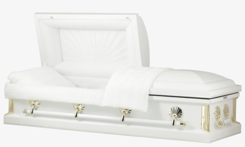 113236 - Trunk, transparent png #9316041