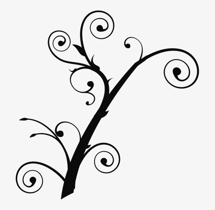 Decoration Clipart Curly - Tree Branch Clip Art, transparent png #9318243