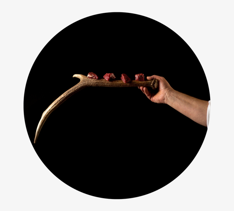Next - Circle, transparent png #9324153