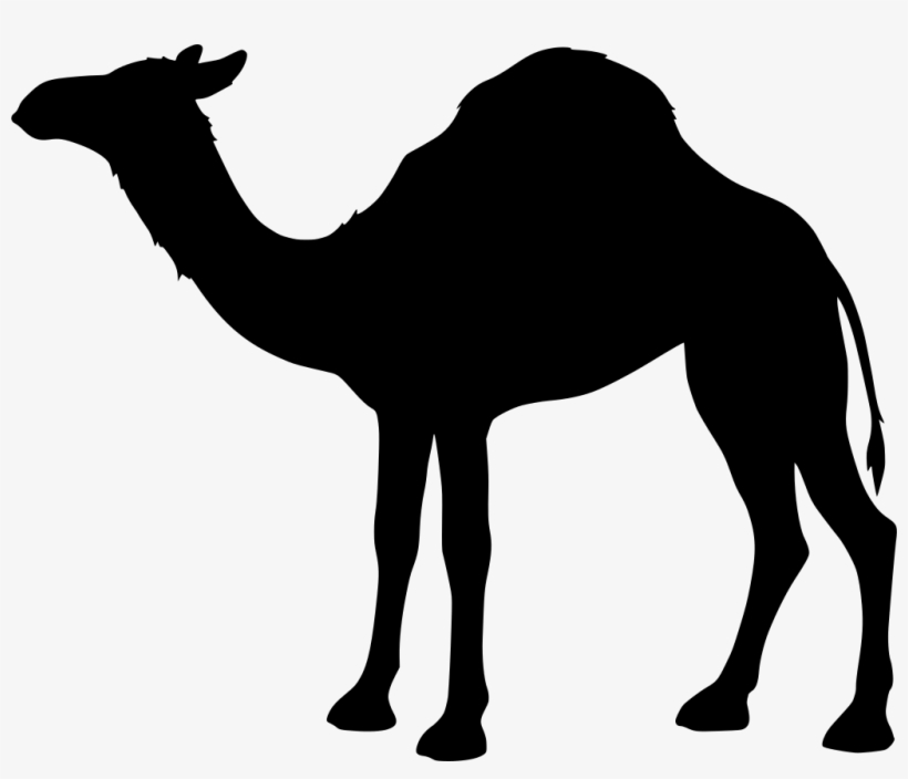Download Png - Sombra De Camello Png, transparent png #9324246