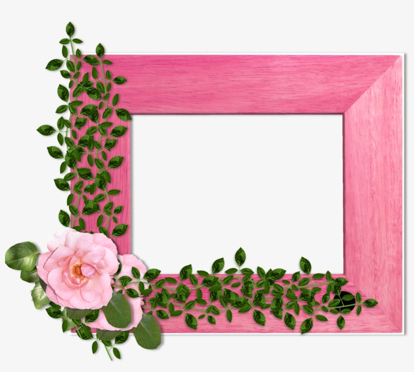 Flowers On Wood Background - Garden Roses, transparent png #9324346