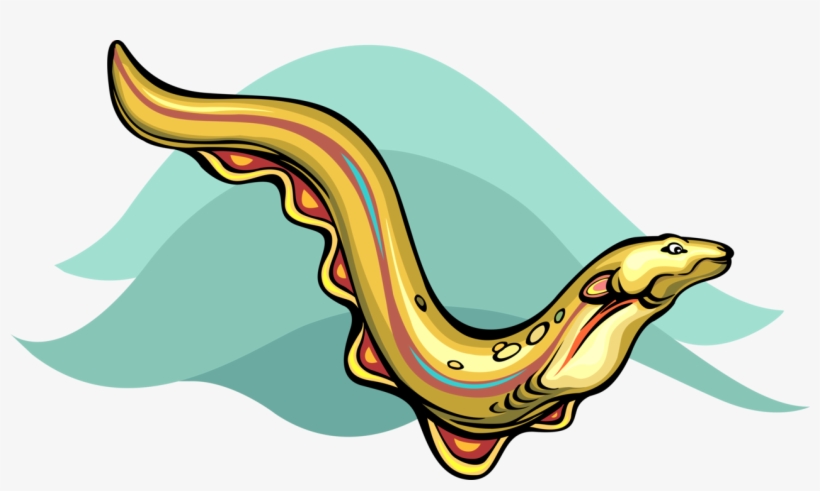 Vector Illustration Of Anguilliform Locomotion Marine, transparent png #9325145