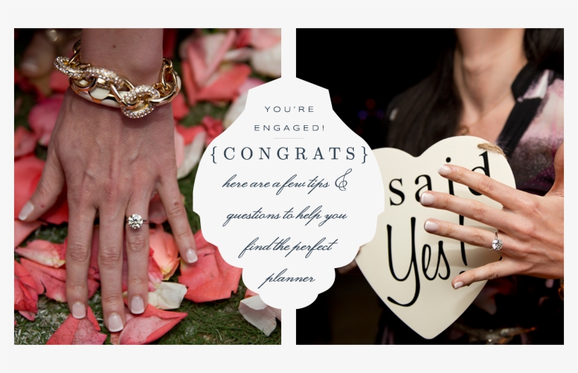 Wellington Proposal - Ceremony, transparent png #9326311