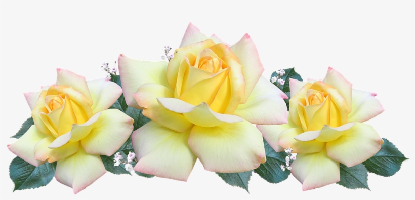 Peace, Rose, Arrangement, Flowers - Flowers For Peace, transparent png #9327918