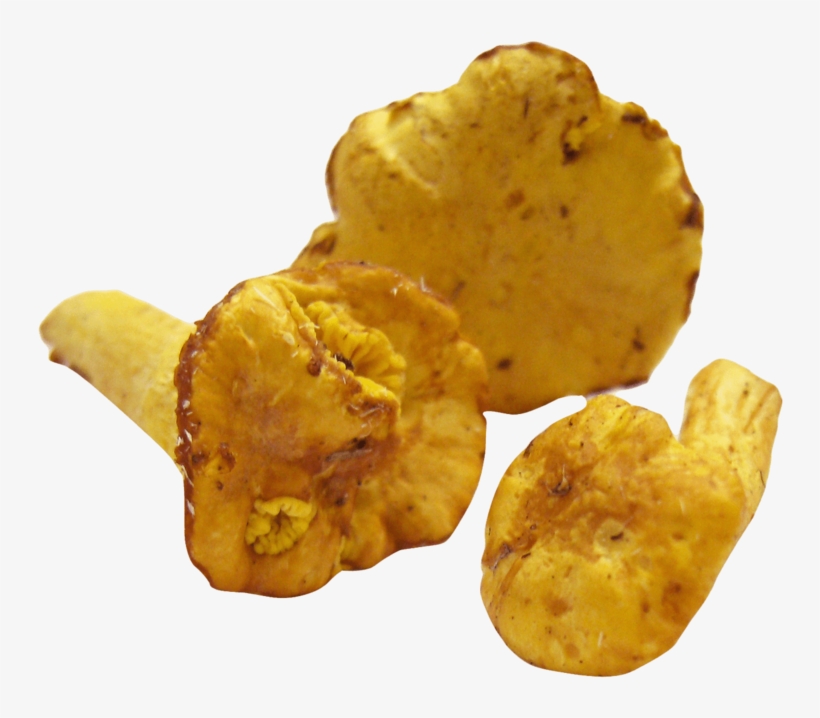 This Png File Is About Food , Mushroom - Recetas De Cocina Escritas, transparent png #9328384