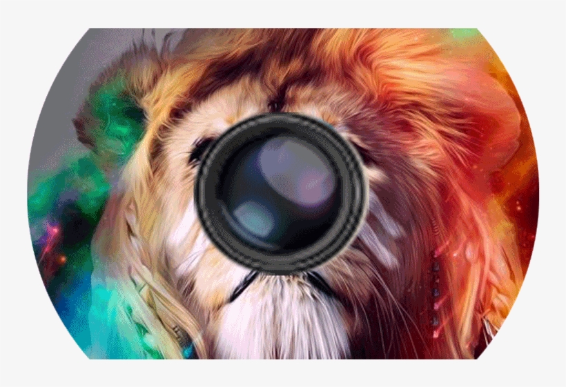 Product Details - Lion, transparent png #9328435
