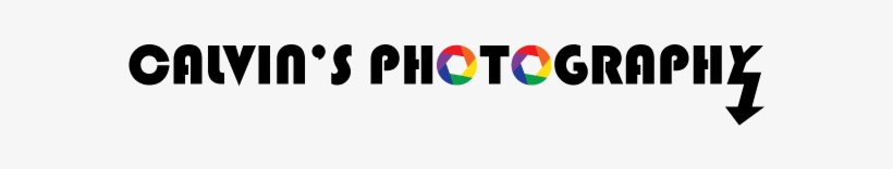 Elegant, Playful, Camera Logo Design For Backyard Family - Volvo P220, transparent png #9329457