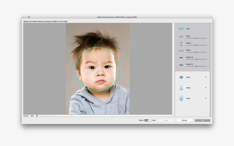 Adobe Photoshop Elements 15 Premiere Released Screen - Photoshop Elements 15, transparent png #9329876