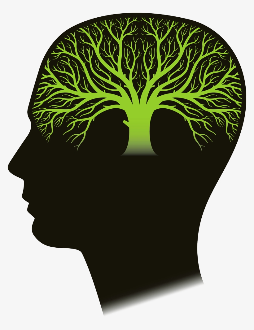 Icon Png Anatomy Pinterest - Arbol De La Vida Budista, transparent png #9330763