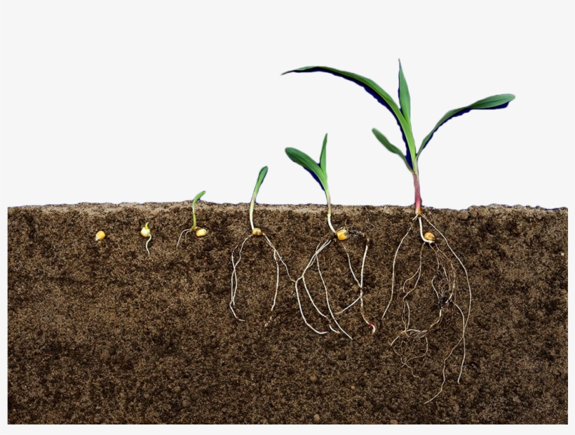 Soil Transparent - Earth Soil Png, transparent png #9331838