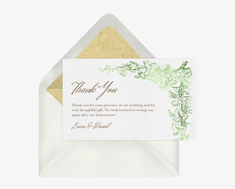 Grapevine Border By Claudia Owen @greenvelope - Envelope, transparent png #9332854