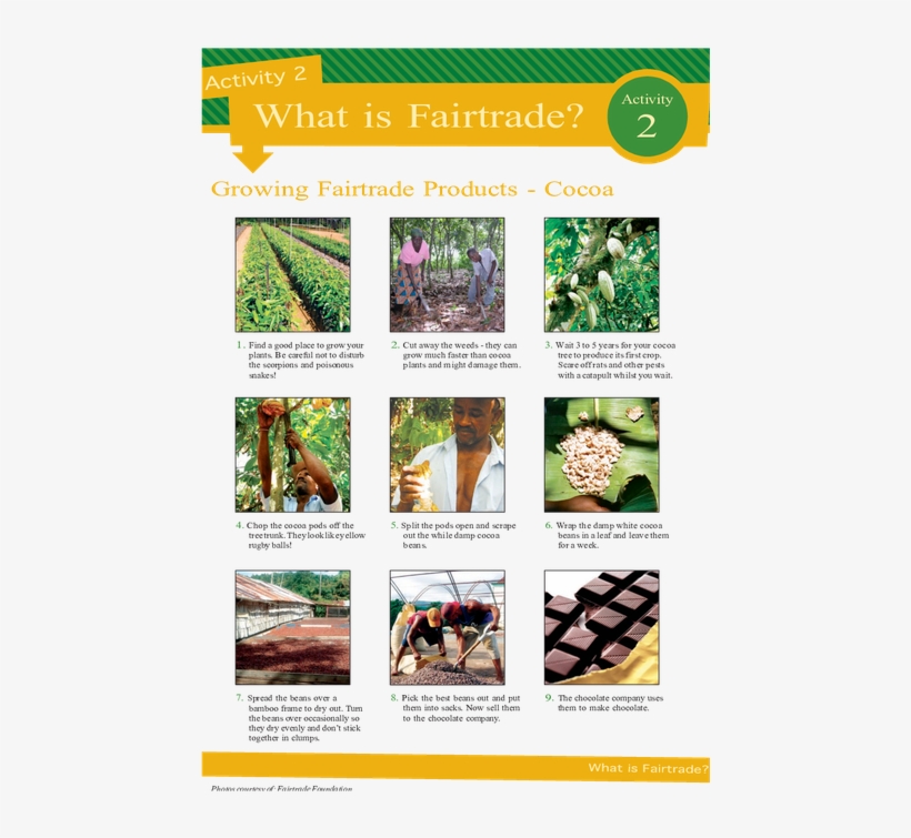 Page - Tree, transparent png #9333288