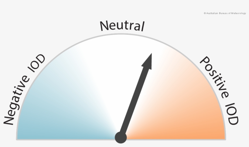 July Iod Dial Graphic Png - Circle, transparent png #9334311