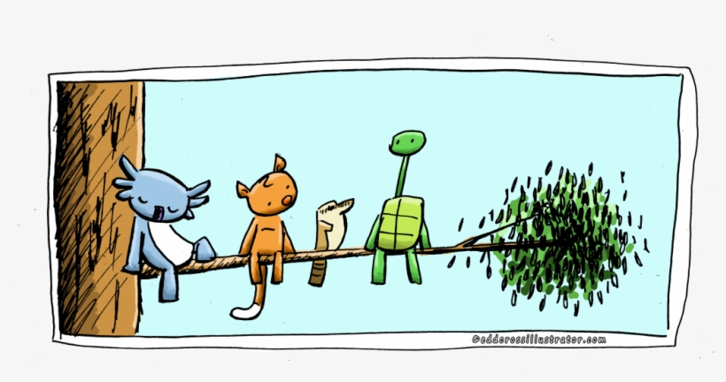 Cute Australian Wildlife Illustration For World Habitat - Cute Australian Animals Cartoon, transparent png #9336374