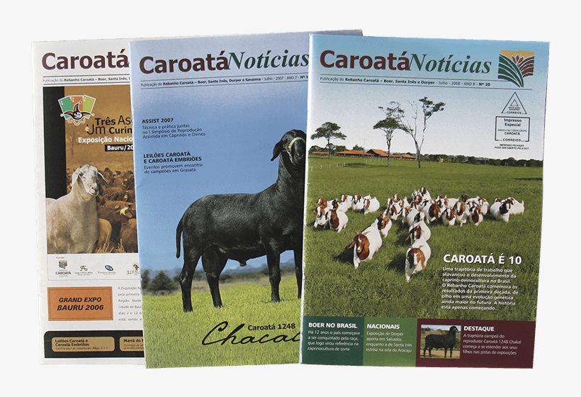 1360 - Goat, transparent png #9337283