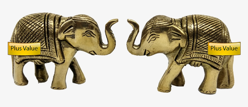 Indian Elephant, transparent png #9337419