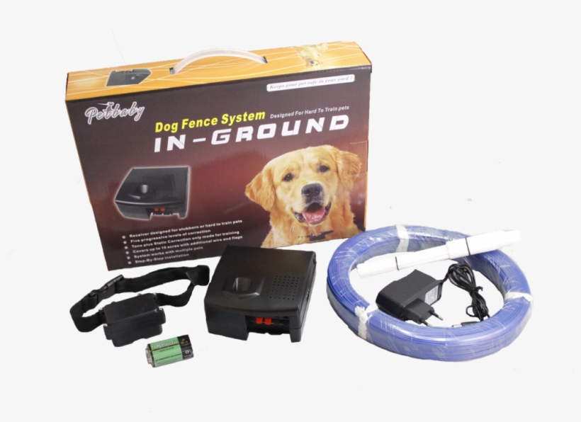 Dog Pet Fencing System - Labrador Retriever, transparent png #9337922