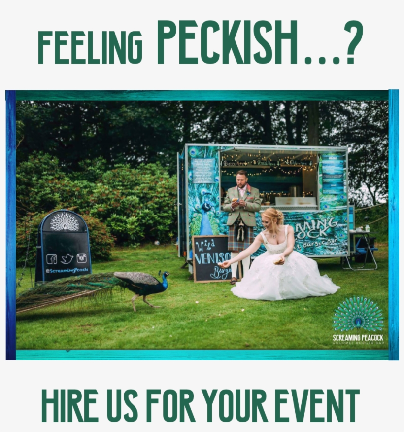 Flyer, transparent png #9338134