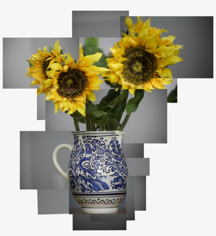 Access To A Digital Camera - Sunflower, transparent png #9338204