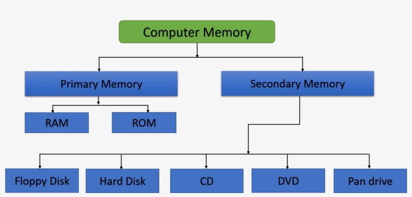 Ram Storage Diagram Schema Wiring Diagram Rh 13 Bodyslimsmile - Computer Memory Primary And Secondary, transparent png #9338273