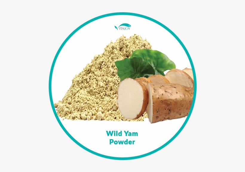 Animal, transparent png #9339023