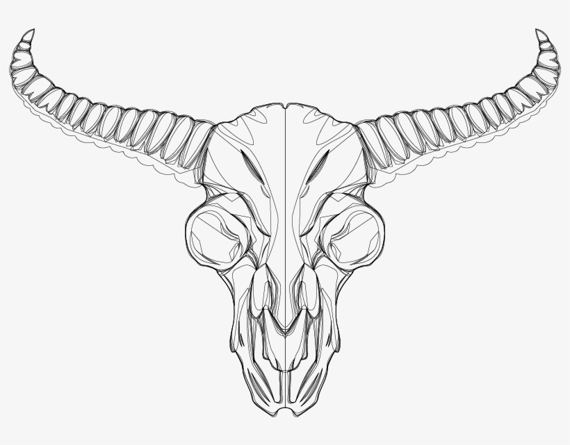 Skull, transparent png #9339617