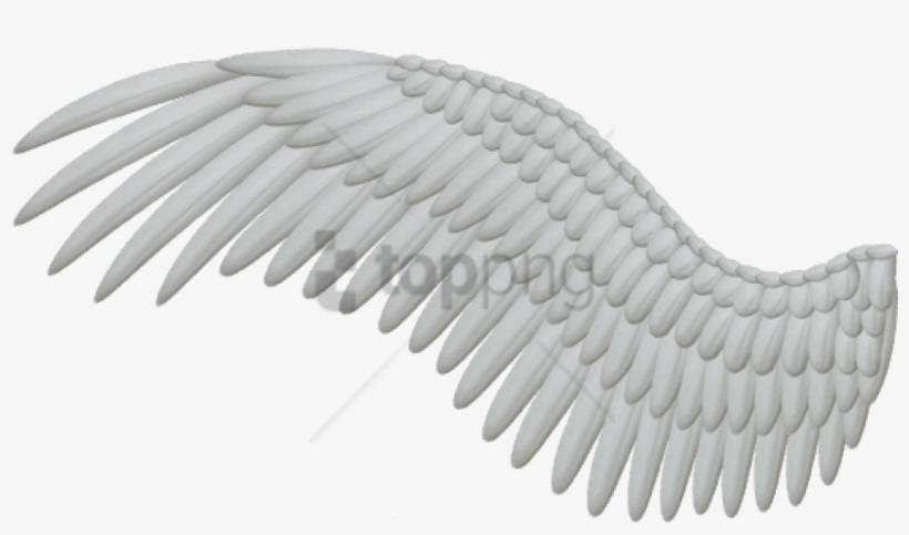 Free Png White Angel Wings Png Image With Transparent - Bird Wings Png, transparent png #9340524