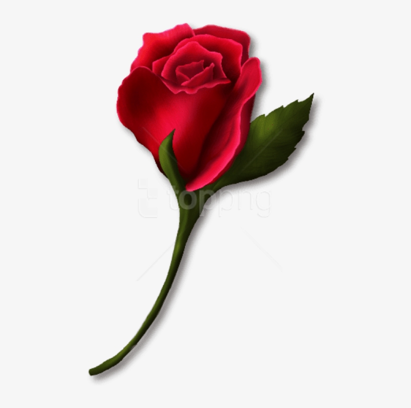Free Png Download Red Rose Bud Painted Png Images Background - Rose Bud Clip Art, transparent png #9340940